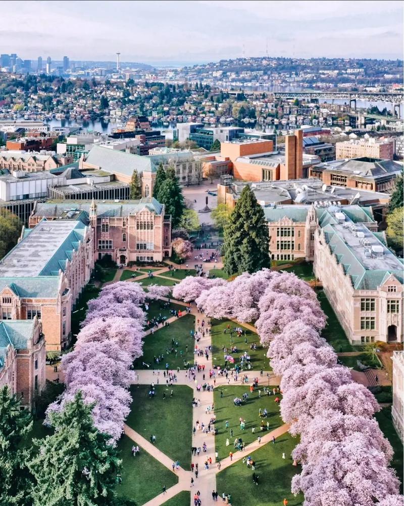 国立高等技术教育研究院